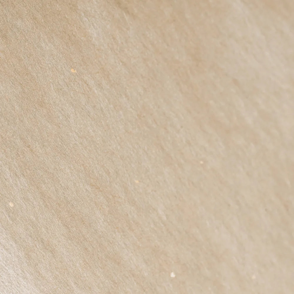 ILEM JAPAN Blotting Paper