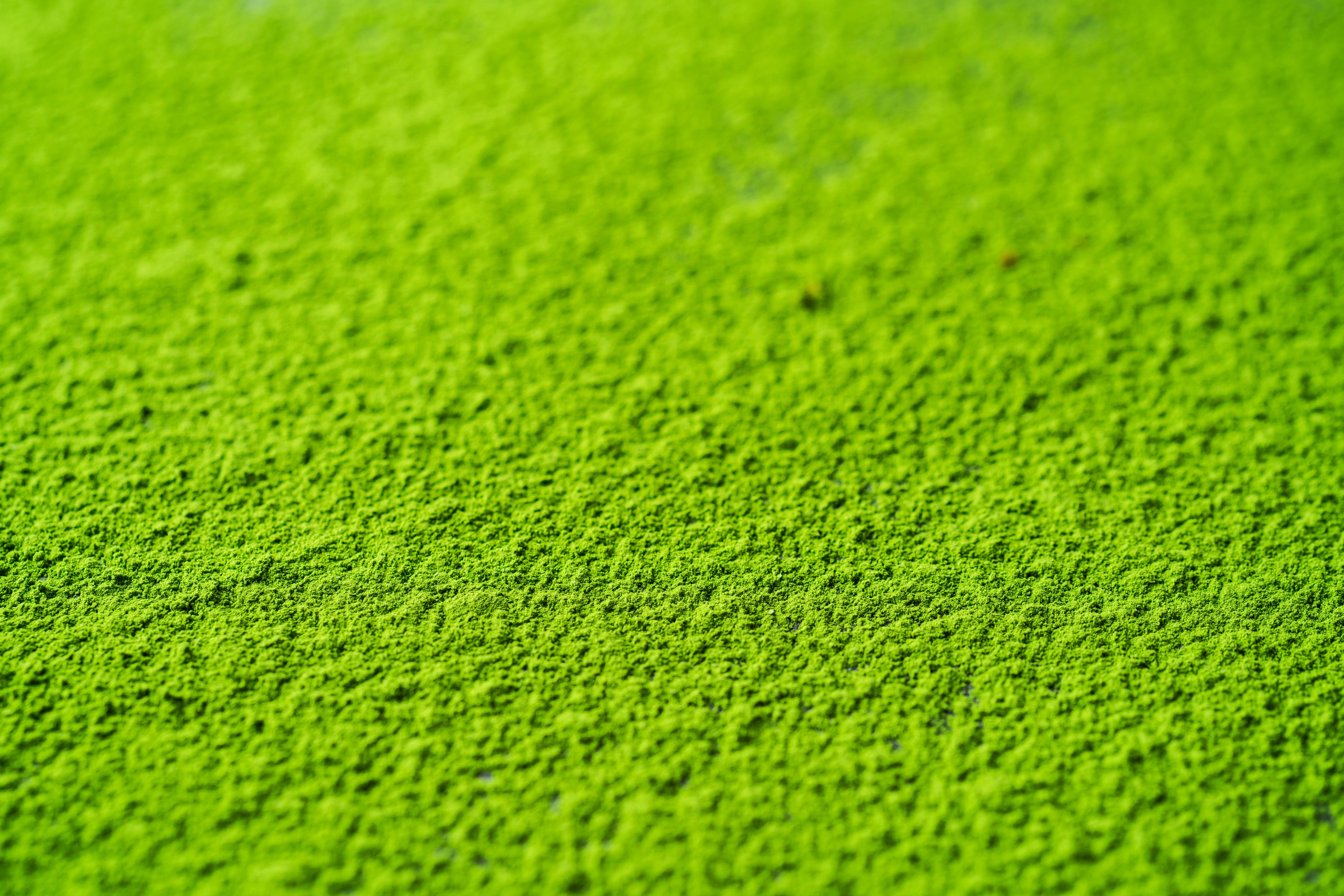 Japanese Green Tea Powder