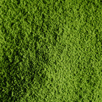 Matcha Tea