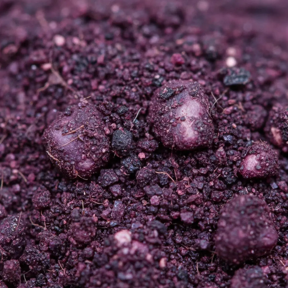 ムラサキ根エキス