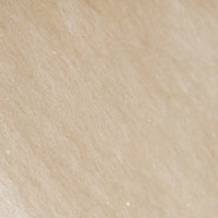 ILEM JAPAN Blotting Paper