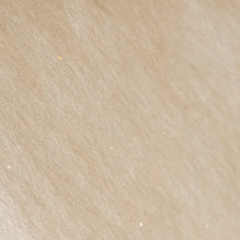 ILEM JAPAN Blotting Paper
