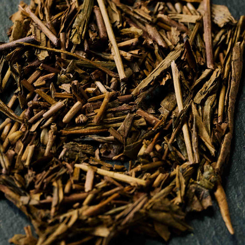Hojicha Tea